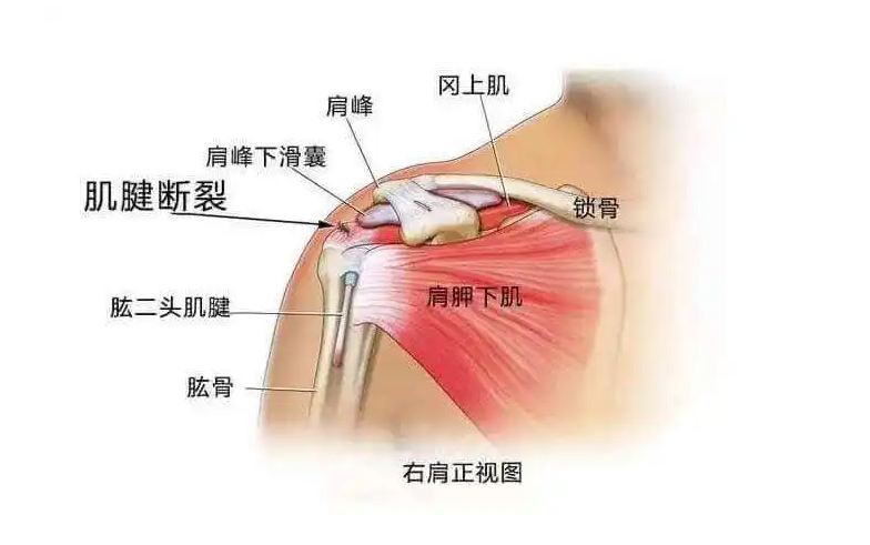 邵陽創(chuàng)傷骨科,邵陽風濕病區(qū),邵陽骨質(zhì)增生,邵陽關(guān)節(jié)病區(qū),邵陽頸椎病區(qū)